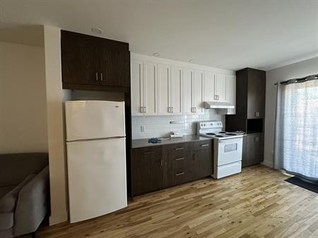 Appartement 3 1/2 Quartier Rosemont