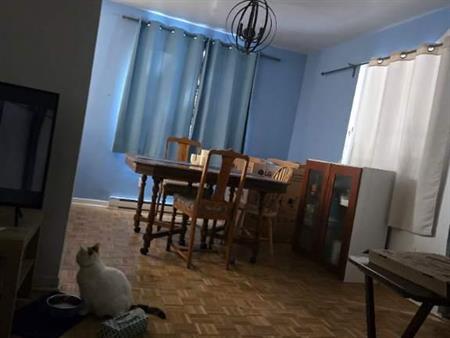 Chambre a louer