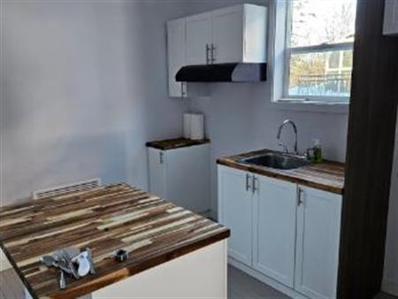 Logement 4 et Demi Rénové grand mère 7 e avenue