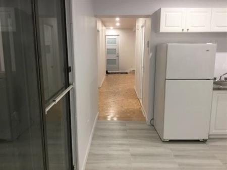 Mercier Hochelaga-Maisonneuve, Magnifique 4½, rénové