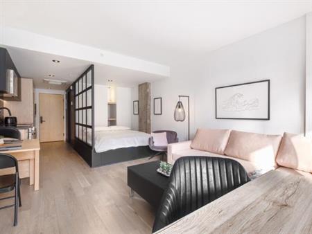 Loft entièrement meublé à louer Saint-Jean-Baptiste septembre 2026