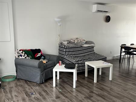 4 1/2 Dans Un Duplex à Donnacona