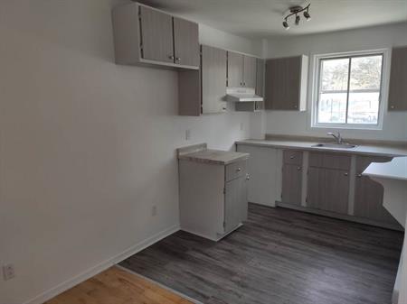 4 ½, 2 Chambres, Centre-sud, Près UQAM