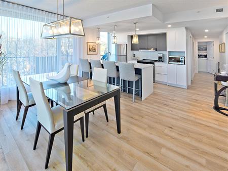 1 Bed 1 Bath F - 235 Rue Bellevue, Sherbrooke