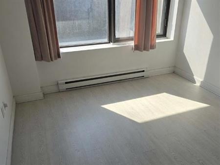 A louer appartement chien et chat acceptés