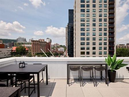 Studio - Montréal - $1,615 /mo
