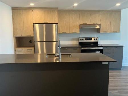 1 CH - 1 SDB - Terrebonne - $1,775 /mo