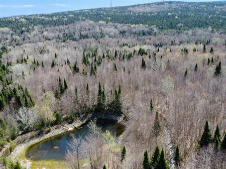 Kinnear’s Mills (Chaudière-Appalaches) : Terre à bois de 110 acres avec forêt mixte, lac privé, rivière à truite et ruisseaux