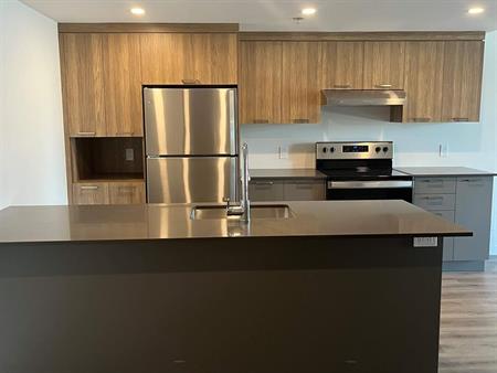 1 CH - 1 SDB - Terrebonne - $1,775 /mo