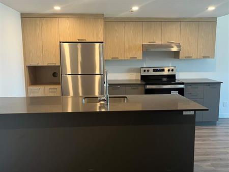 1 CH - 1 SDB - Terrebonne - $1,775 /mo