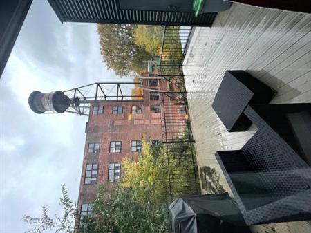 3 1/2 - Montréal (Hochelaga / Maisonneuve) - 1 800 $/mois