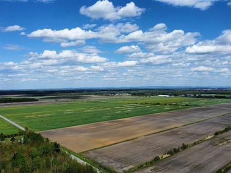 Sainte-Eulalie (Centre-du-Québec) : Ensemble de terres agricoles de 188 acres, 173 acres en culture, nivelées, drainées, idéa