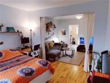 Superbe et chaleureux 3 1/2 PLATEAU MONT-ROYAL, ÉLECTROS/MEUBLES DISPONIBLES AU BESOIN