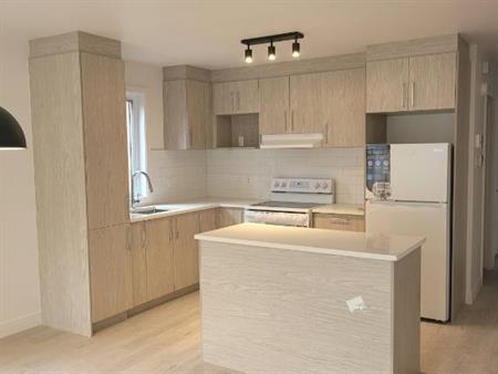 Luxueux condo neuf et moderne 3 1/2 Métro PIE-IX à louer Montréal - appartement / logement
