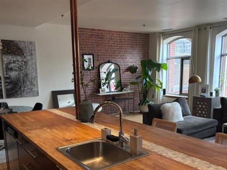 Stunning 1BR Condo in the Heart of Montreal on Blvd St Laurent