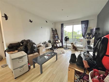 Le Quarante 8 Appartements Appartement 4 ½ à Louer Charlesbourg Juillet 2026