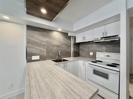 1565 Rue Rachel Est, Montreal, QC, Canada 1565 Rachel East - Studio