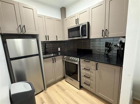 3 1/2 Appartement