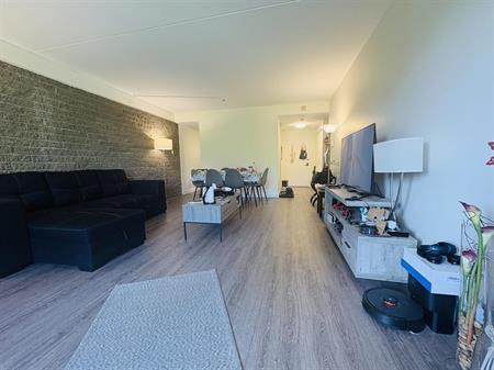 Chemin Sainte-Foy Appartement 4 ½ à Louer Montcalm / Saint-Sacrement Septembre 2026
