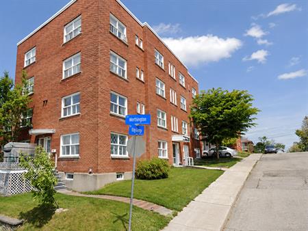 Studio - 1 1/2 à Louer Mont-Bellevue