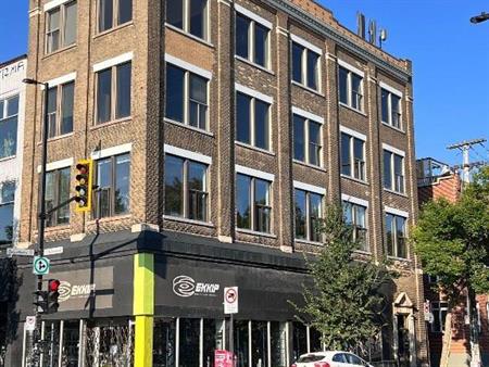 Magnifique loft lumineux sur le Plateau — coin Mont-Royal entièrement rénové