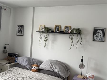 4 1/2 Rosemont Masson / Parc Molson