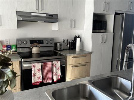 MAGNIFIQUE APPARTEMENT STYLE CONDO