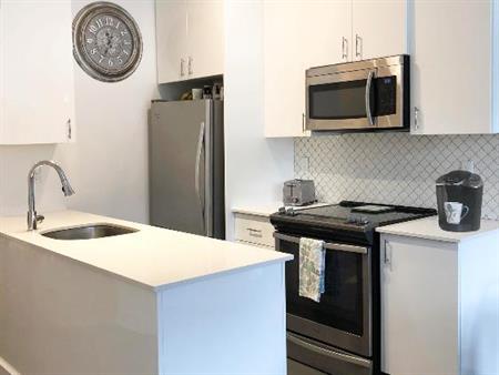 3 1/2 apartment in Plateau