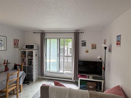Appartement 1 Chambre, 1 Salle De Bain