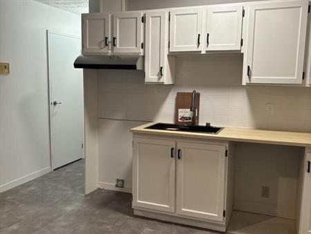 Immeuble - 223 Calixa-Lavallée Spacieux 4 ½ à Magog