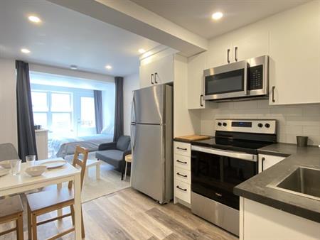Studio Sur Le Plateau Mont Royal