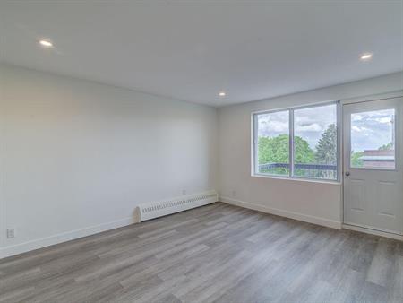 Studio Apartments Available For August 2026 - A louer • For Rent
