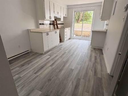 Beau et grand 4 1/2 Longueuil libre