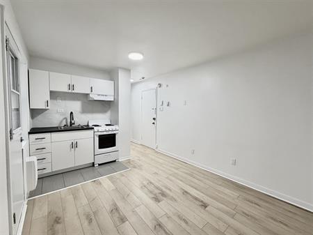 2405 Rue Bélanger 2405 Belanger - 1 Bedroom