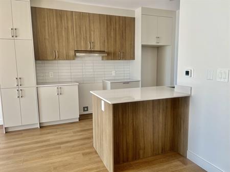 3 1/2 Immeuble Luxueux Avec Ascenseur