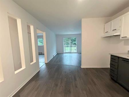 1 CH - 1 SDB - Granby - $1,200 /mo