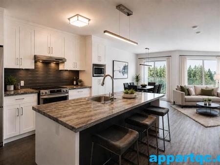 Québec – Luxueux 4 1/2 idéal pour retraité 1765$ Charlesbourg