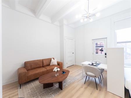 Fully Furnished Studio - Downtown/McGill