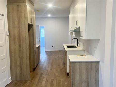 4½ Avec Terrasse - Metro Joliette