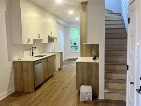 4½ Avec Terrasse - Metro Joliette