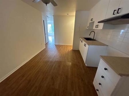 Immeuble - 64-70 Rue Saint-Georges 4 ½ à Louer - Windsor