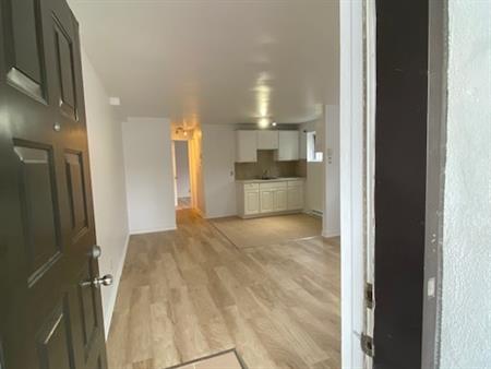 Magnifique 3 1/2 Demi-sous-sol, Triplex