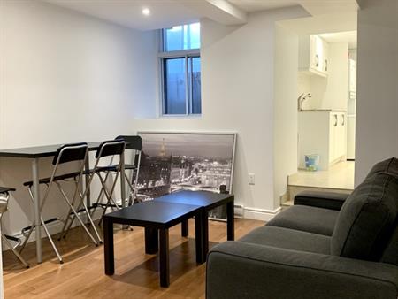 Downtown - Nice Furnished 3 1/2 For Rent