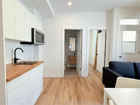 Appartement Sur Le Plateau Mont Royal
