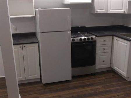 NDG Studio Apt on Fielding St West