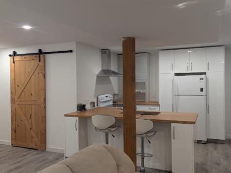 Appartement 1 chambre, aire ouverte, tout inclus, sous sol, 1er juillet