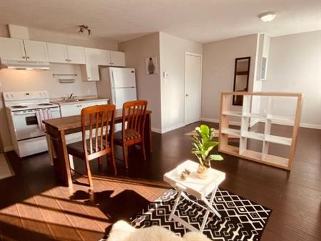 mois juin gratuit ! logement semi-meublé, wifi prêt a déménager !