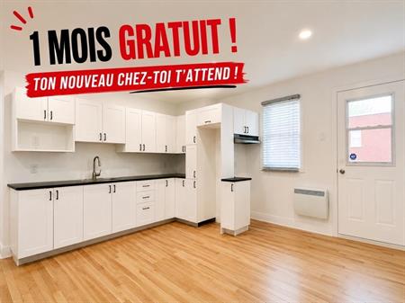 3.5 entièrement rénové dans Rosemont, 1er mois de loyer gratuit !!