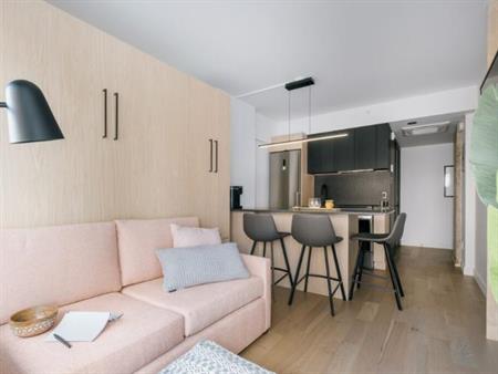 Loft entièrement meublé à louer Saint-Jean-Baptiste juin 2026