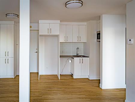 1 chambre - Vieux-Québec - Rénové en 2021